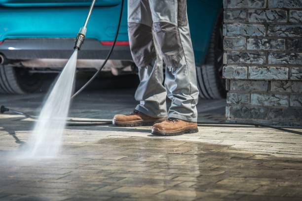 Best Animal Enclosure Cleaning  in Chamberlain, SD