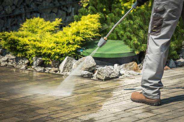 Best Gutter Cleaning  in Chamberlain, SD